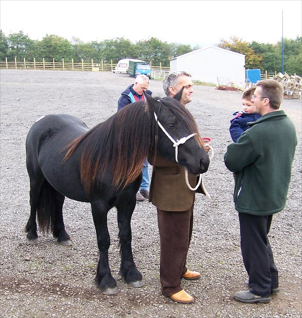 Class 2 Penrith Fell Pony Sales 2007