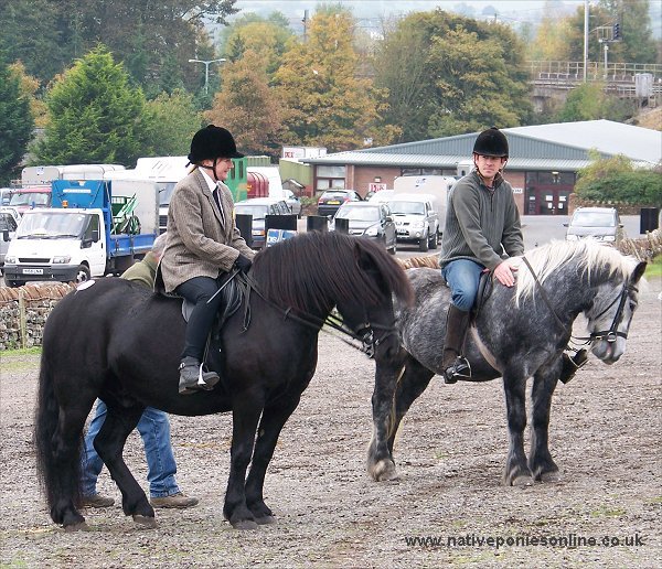 Riden Class Penrith Fell Pony Sales 2007